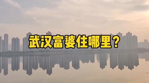 楼市爆料内容大全最新,最新动态大盘点，揭秘市场热点与趋势